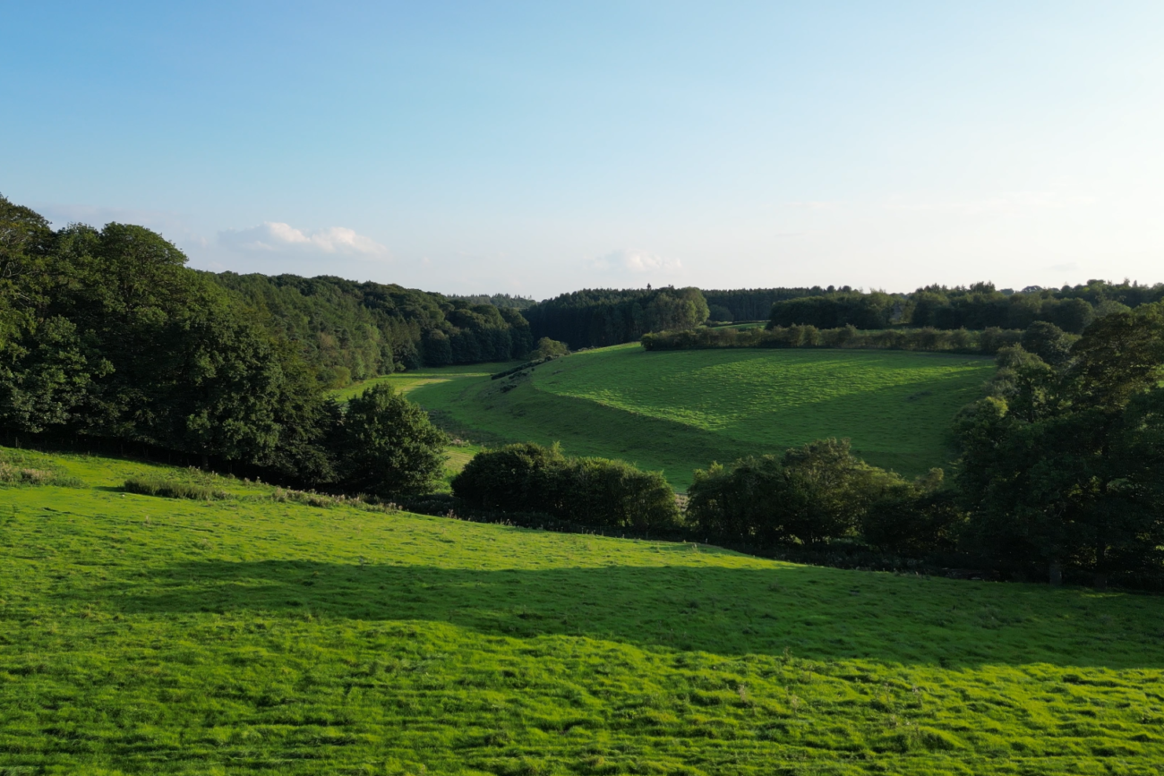 Yorkshire Dales